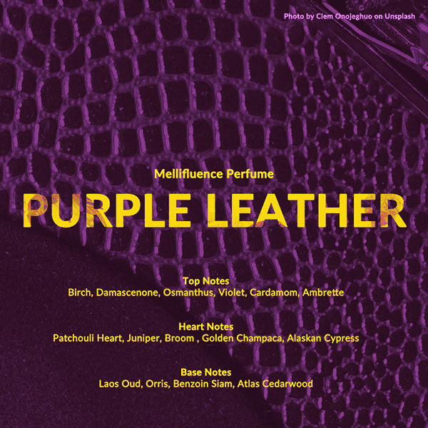 Purple Leather_01(small).png