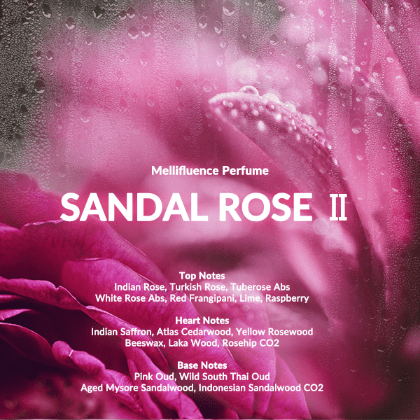 Sandal Rose2(600).png